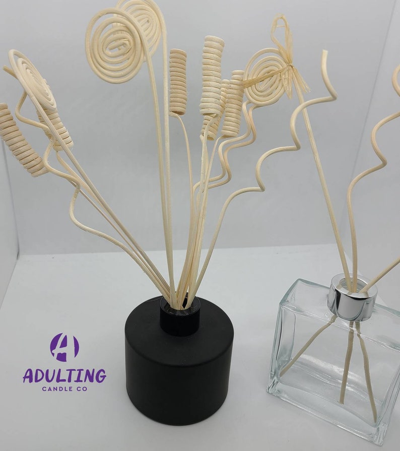 Decorative Reed Sticks
