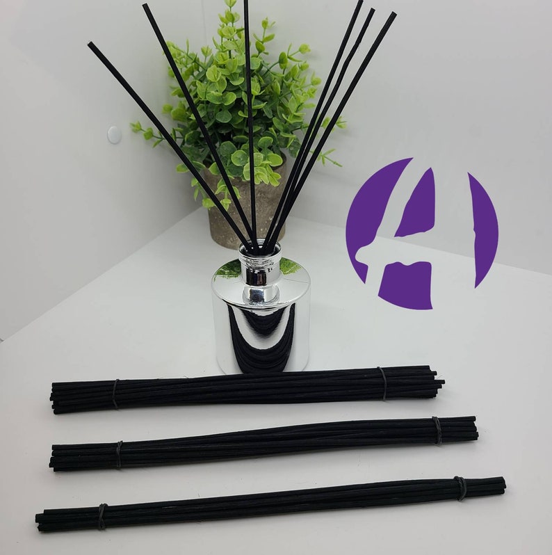 Decorative Reed Sticks