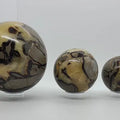 Septarian Nodule Spheres