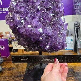 Extra Large Brazilian Amethyst Cluster | 25 lb. One of a Kind Statement Crystal | Stand Included