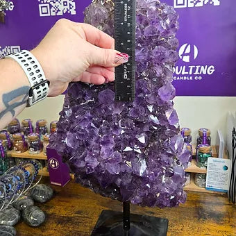 Extra Large Brazilian Amethyst Cluster | 25 lb. One of a Kind Statement Crystal | Stand Included