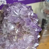 Extra Large Brazilian Amethyst Cluster | 25 lb. One of a Kind Statement Crystal | Stand Included