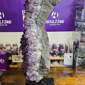 Extra Large Brazilian Amethyst Cluster | 25 lb. One of a Kind Statement Crystal | Stand Included