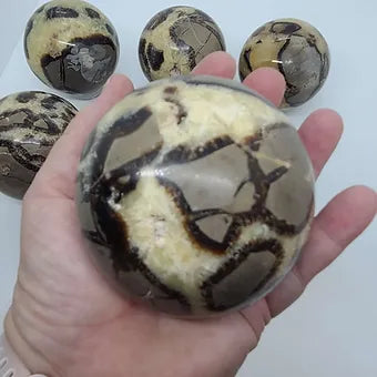 Septarian Nodule Spheres
