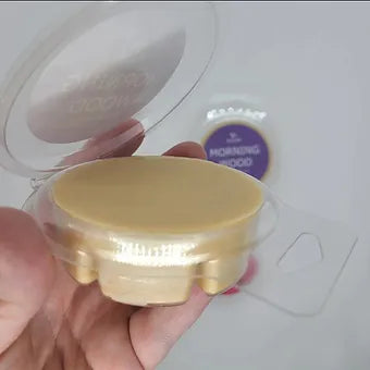 Pie Cut Wax Melts