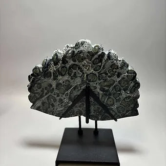 Hand carved Peacocks w/stand