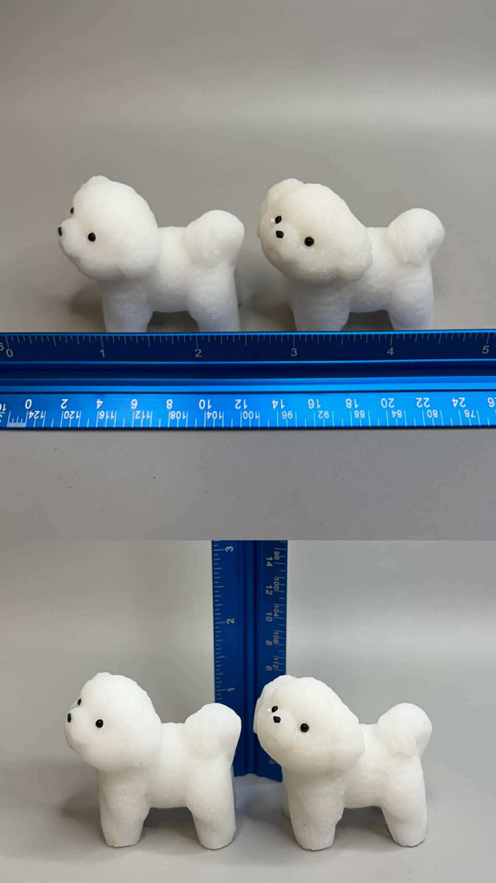Small White Jade Maltese Puppy