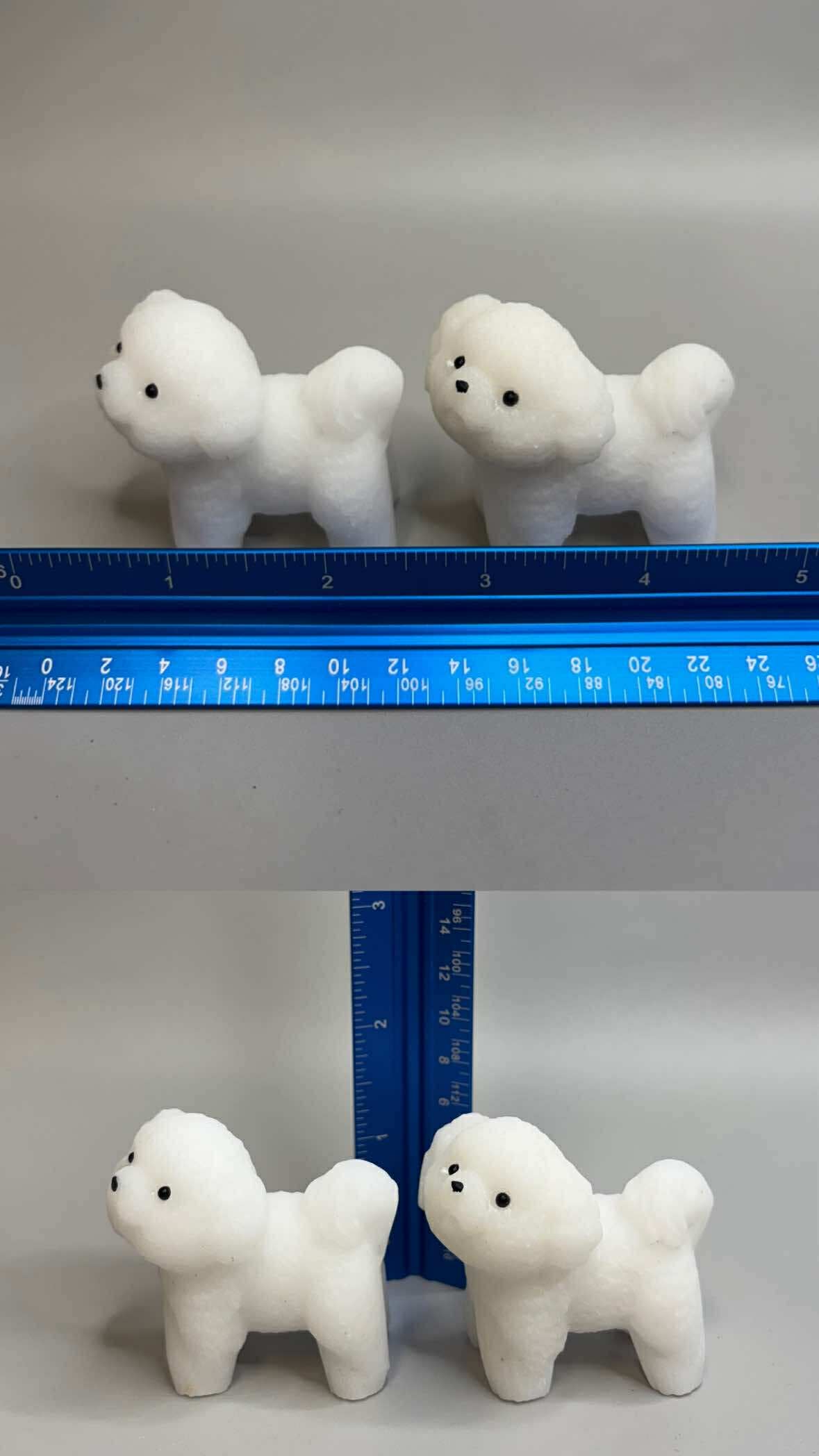 Small White Jade Maltese Puppy