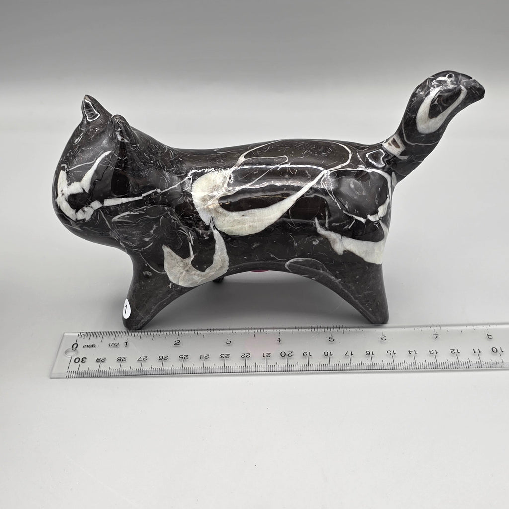 Orthoceras Fossil Cat Carving | Genuine Fossil Stone | Hand-Carved