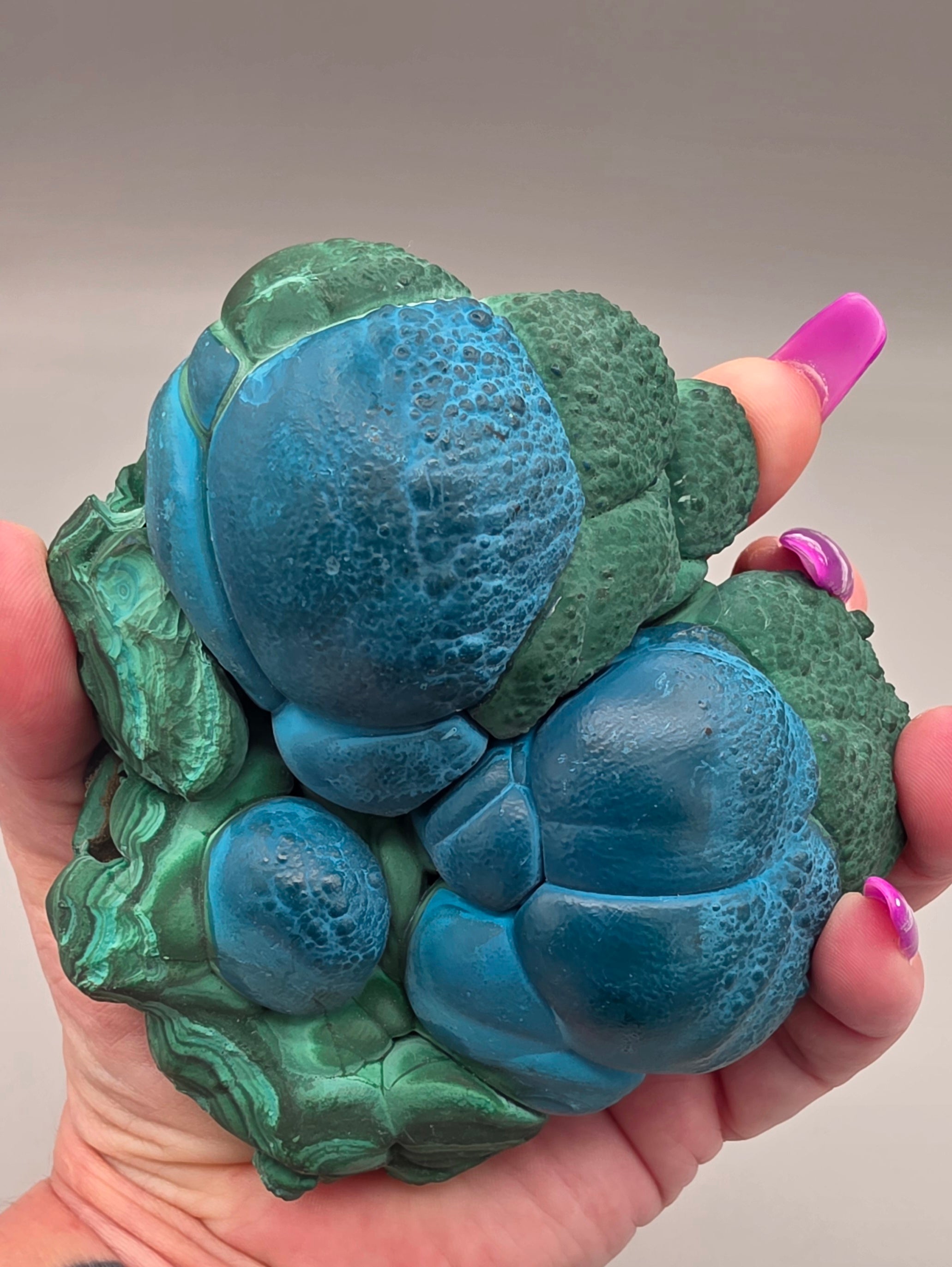 Natural Rare Chrysocolla & Malachite Botryoidal Cluster