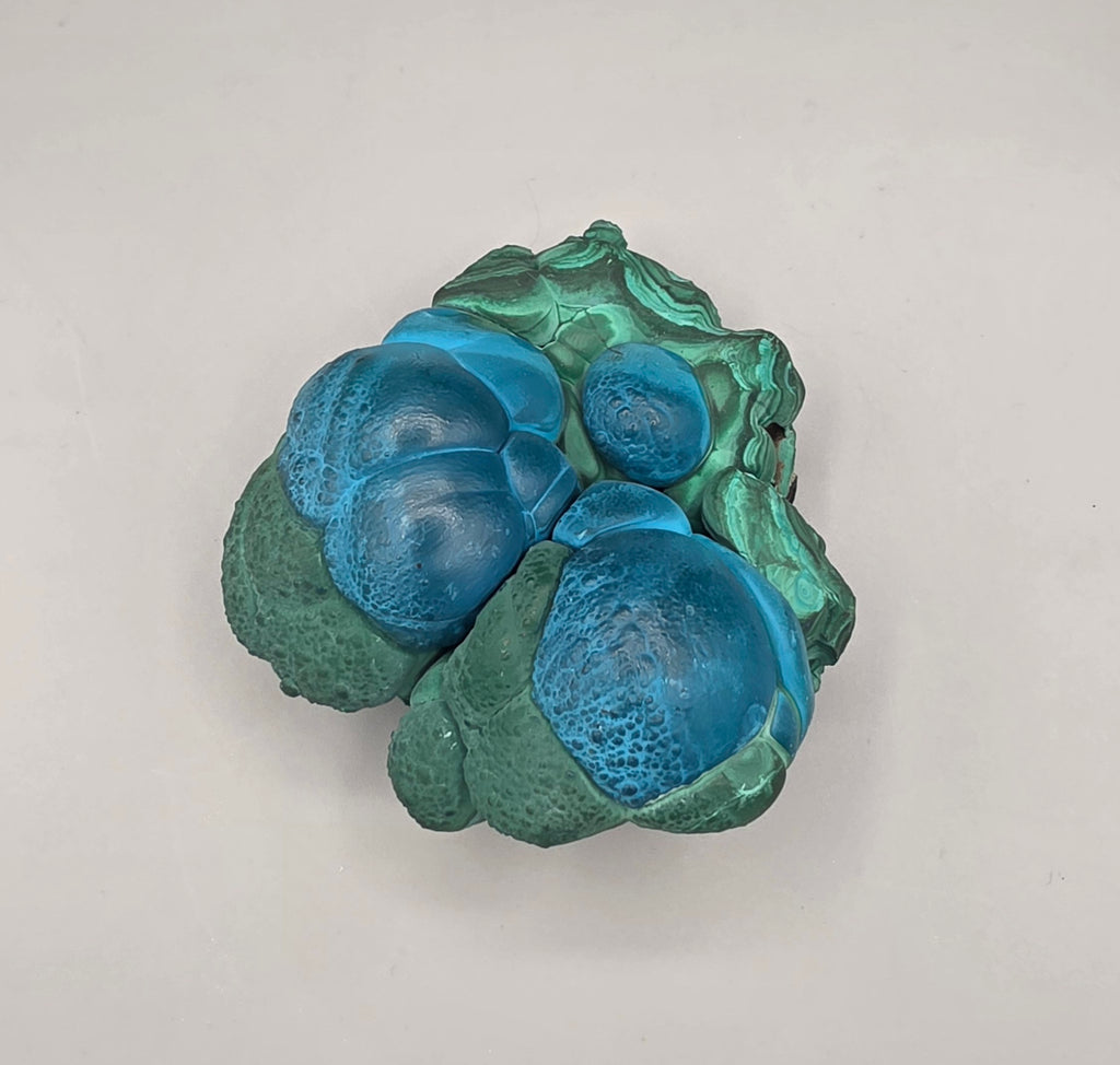 Natural Rare Chrysocolla & Malachite Botryoidal Cluster