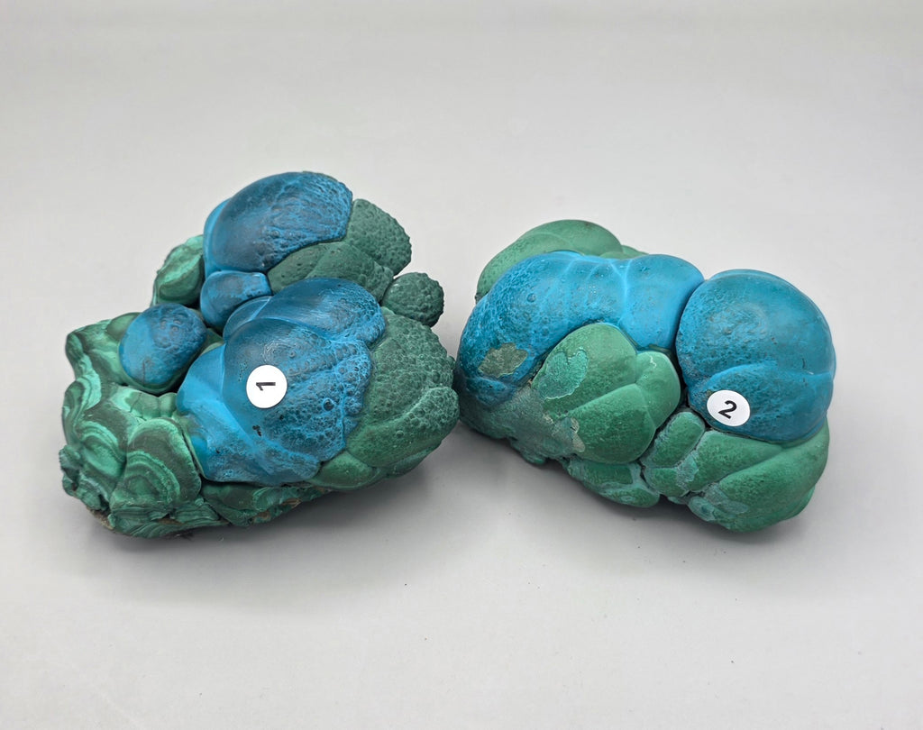 Natural Rare Chrysocolla & Malachite Botryoidal Cluster