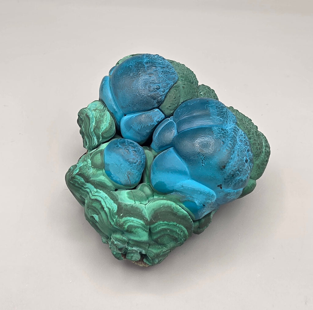 Natural Rare Chrysocolla & Malachite Botryoidal Cluster