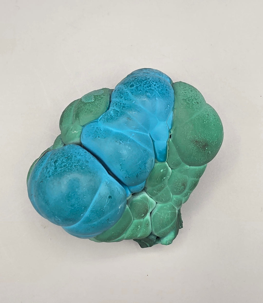 Natural Rare Chrysocolla & Malachite Botryoidal Cluster
