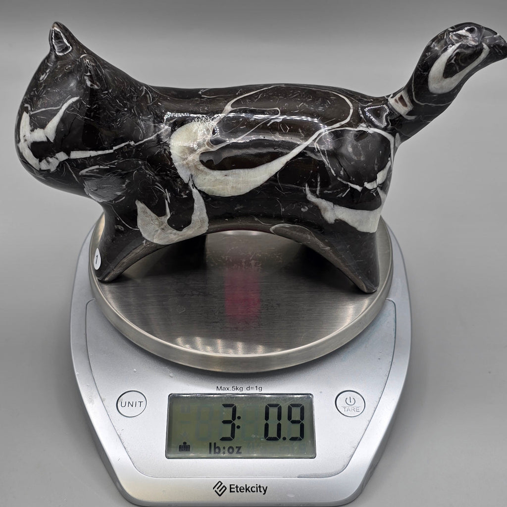 Orthoceras Fossil Cat Carving | Genuine Fossil Stone | Hand-Carved