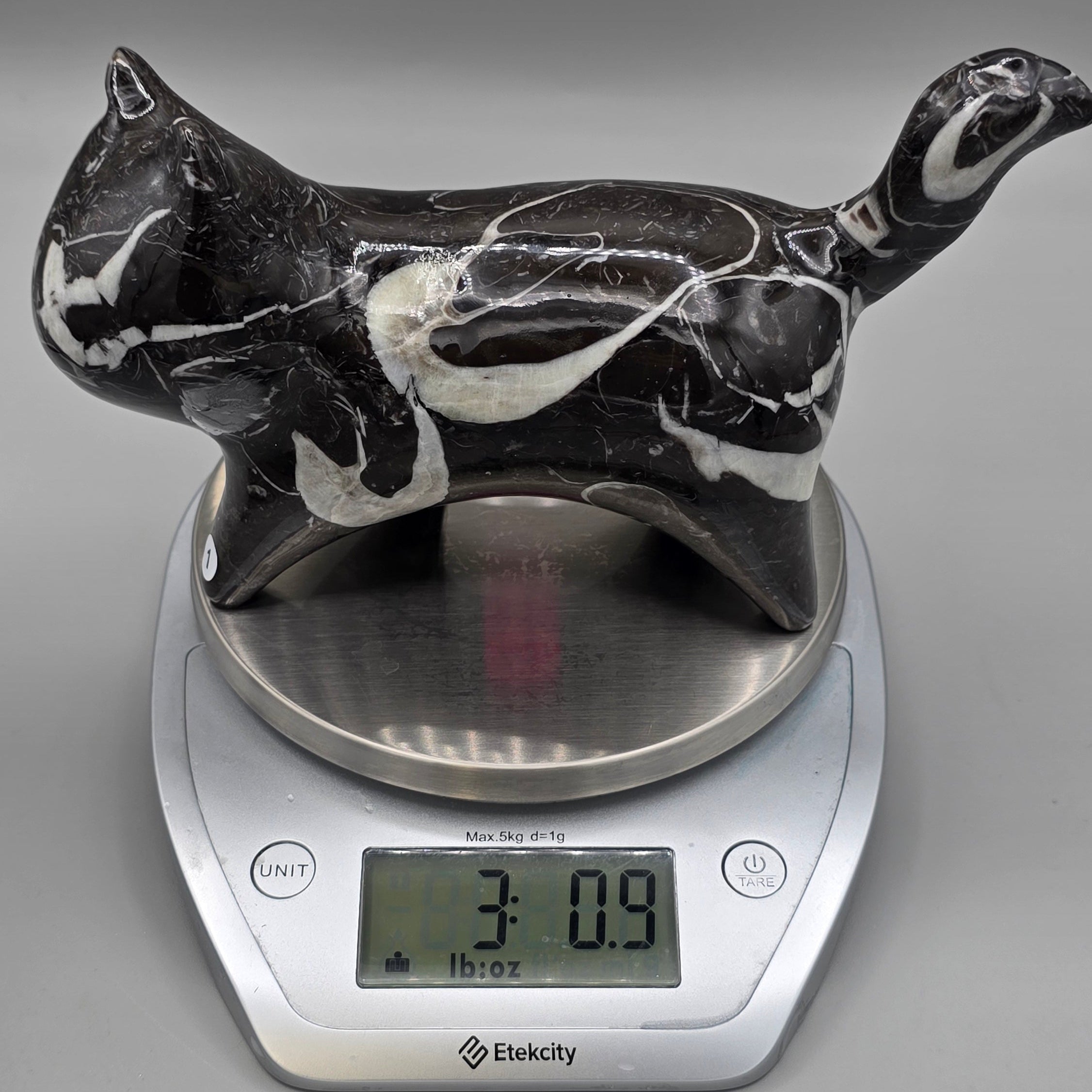 Orthoceras Fossil Cat Carving | Genuine Fossil Stone | Hand-Carved