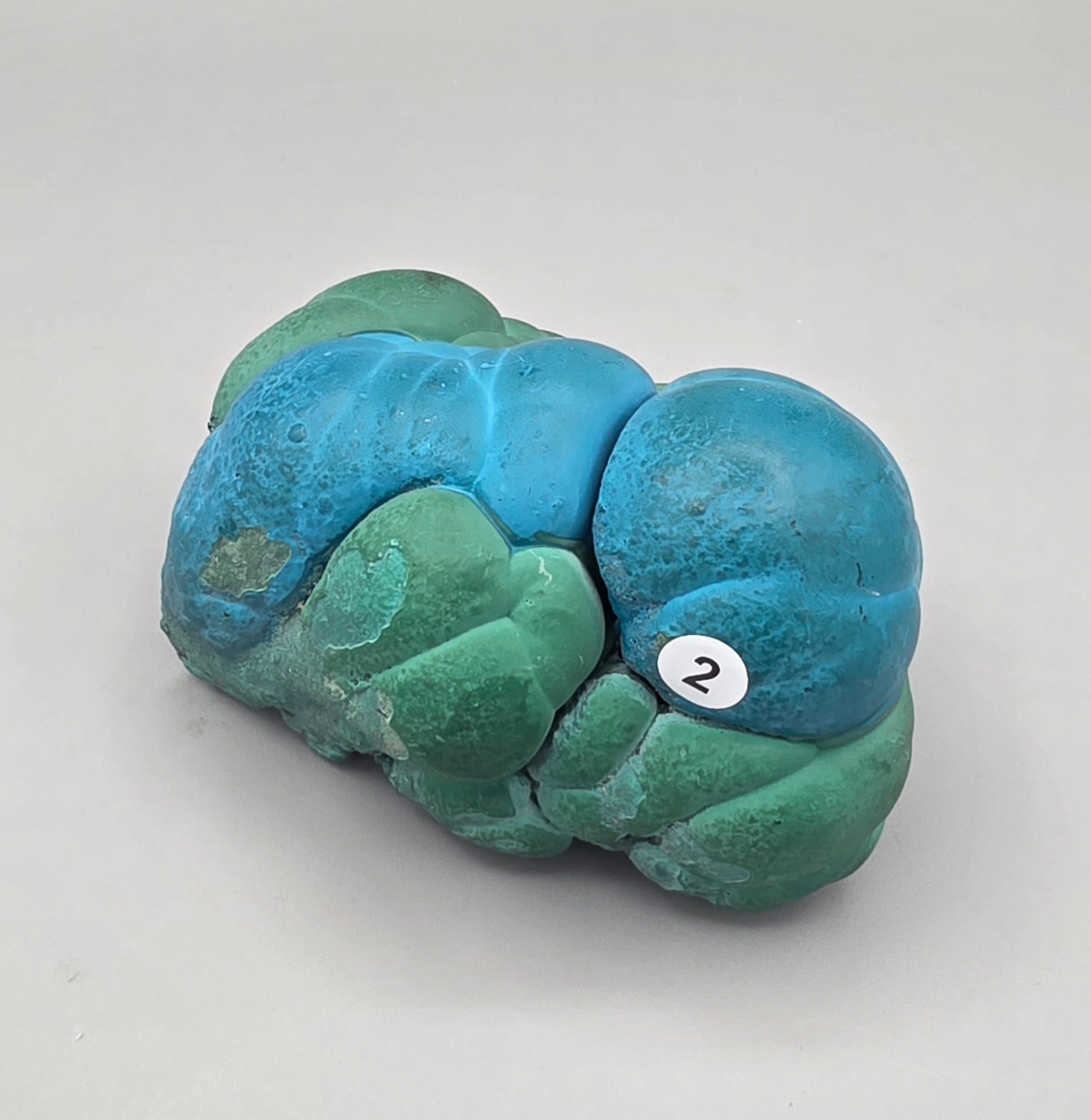 Natural Rare Chrysocolla & Malachite Botryoidal Cluster