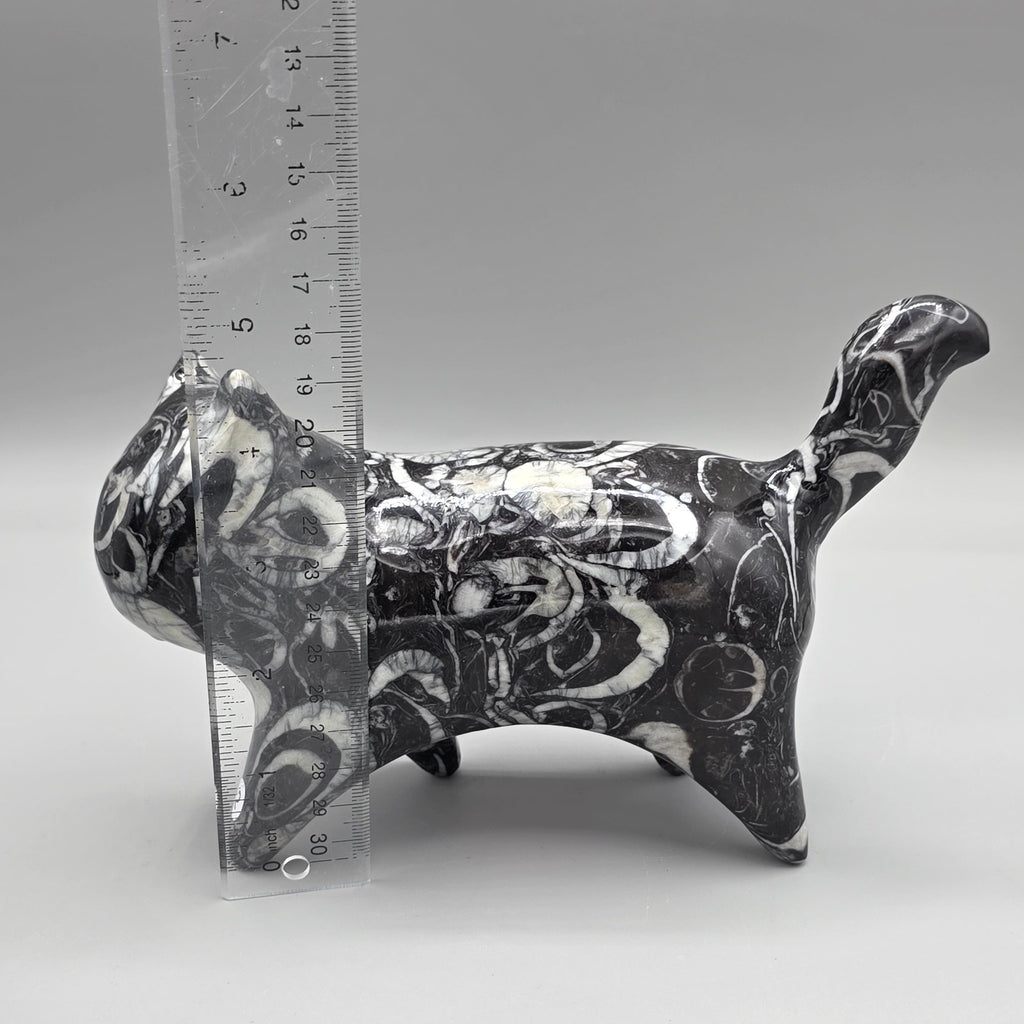 Orthoceras Fossil Cat Carving | Genuine Fossil Stone | Hand-Carved
