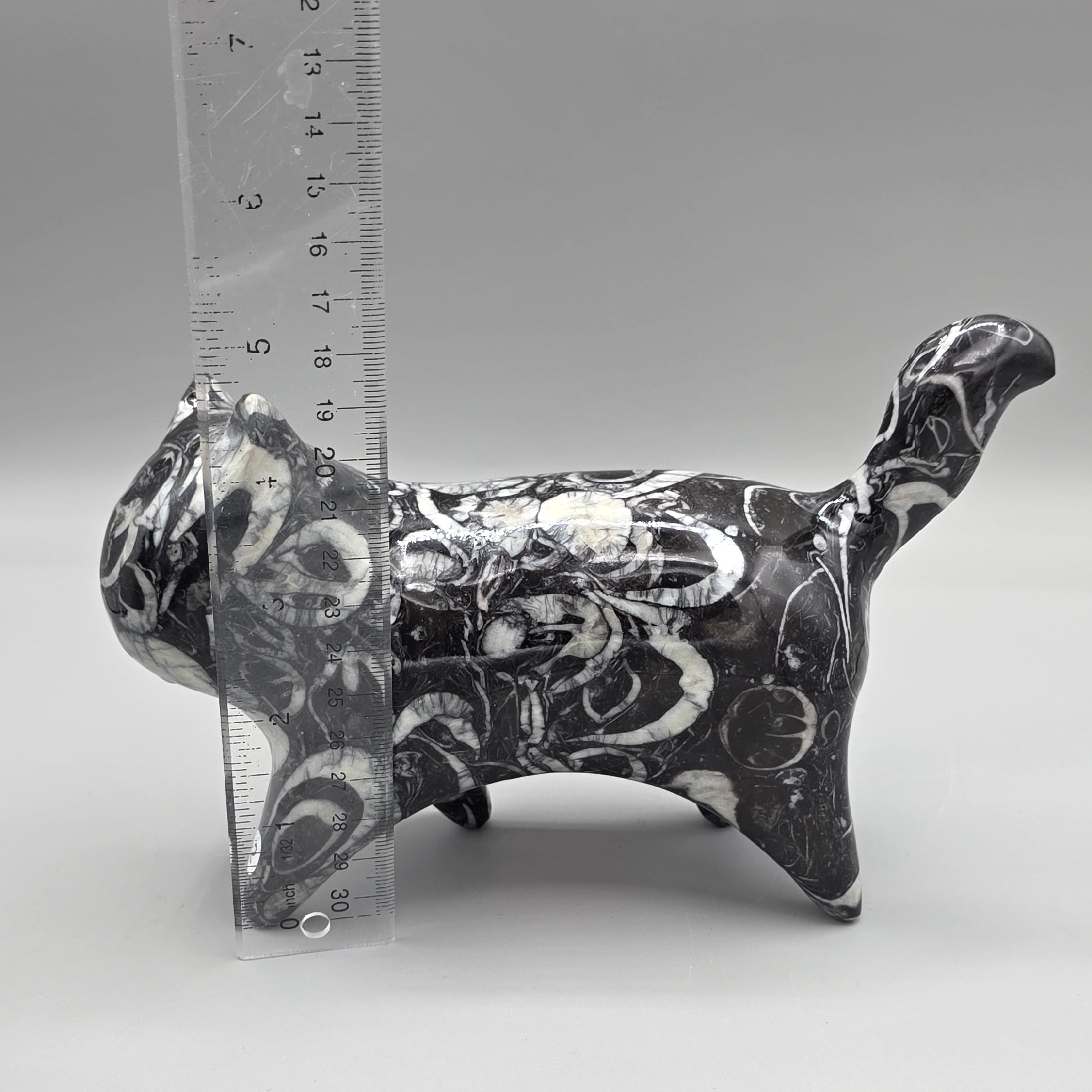 Orthoceras Fossil Cat Carving | Genuine Fossil Stone | Hand-Carved