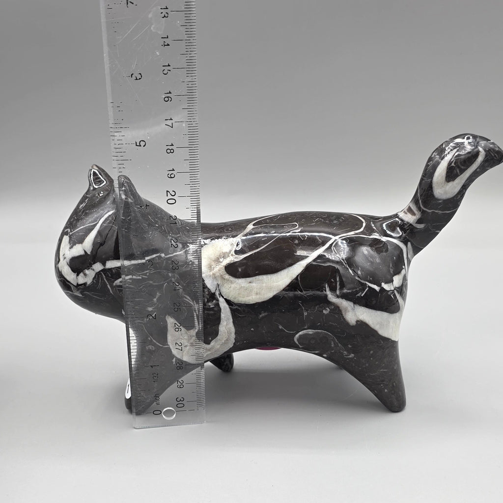 Orthoceras Fossil Cat Carving | Genuine Fossil Stone | Hand-Carved