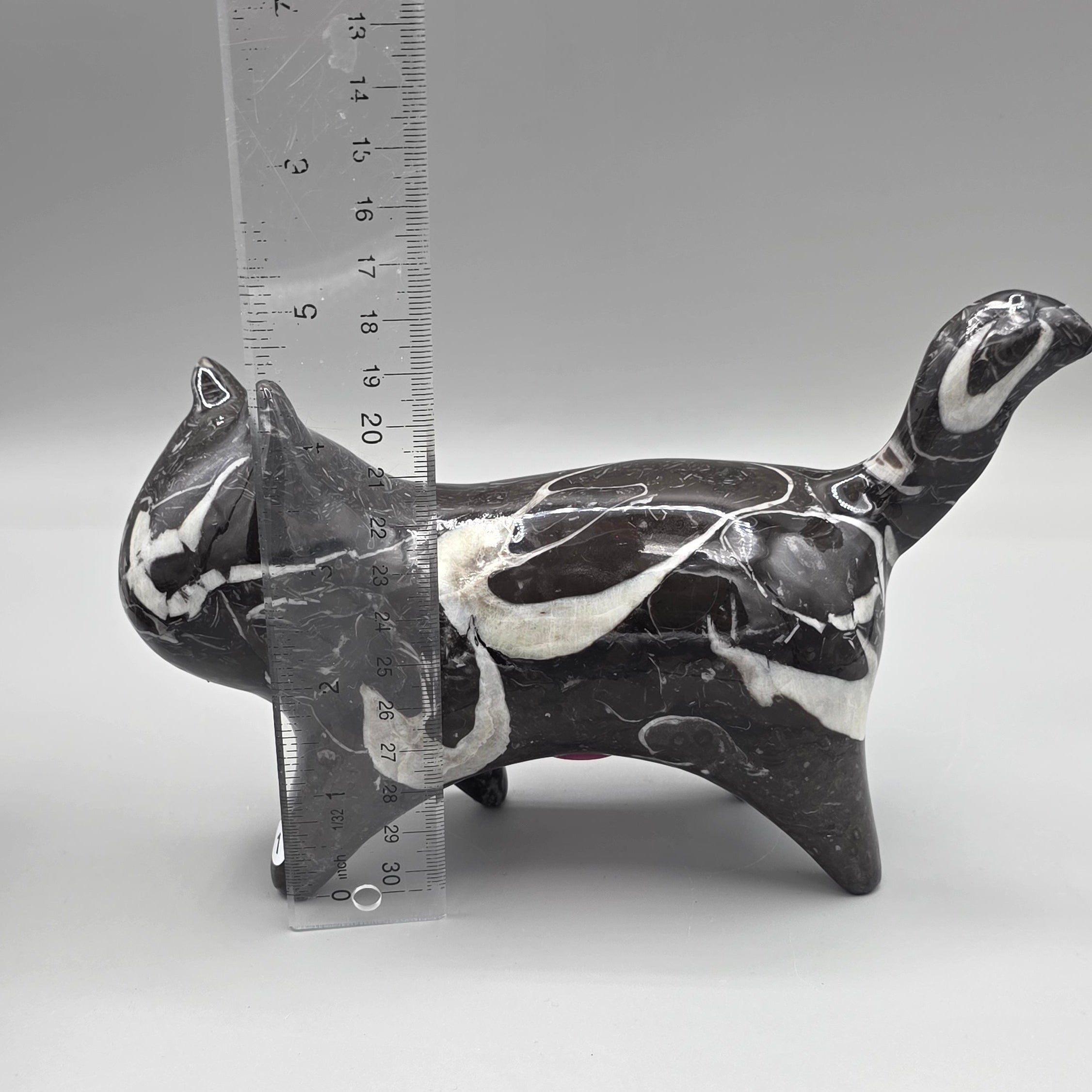 Orthoceras Fossil Cat Carving | Genuine Fossil Stone | Hand-Carved