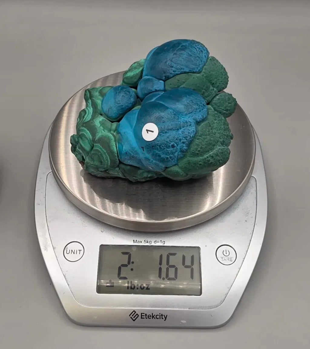 Natural Rare Chrysocolla & Malachite Botryoidal Cluster