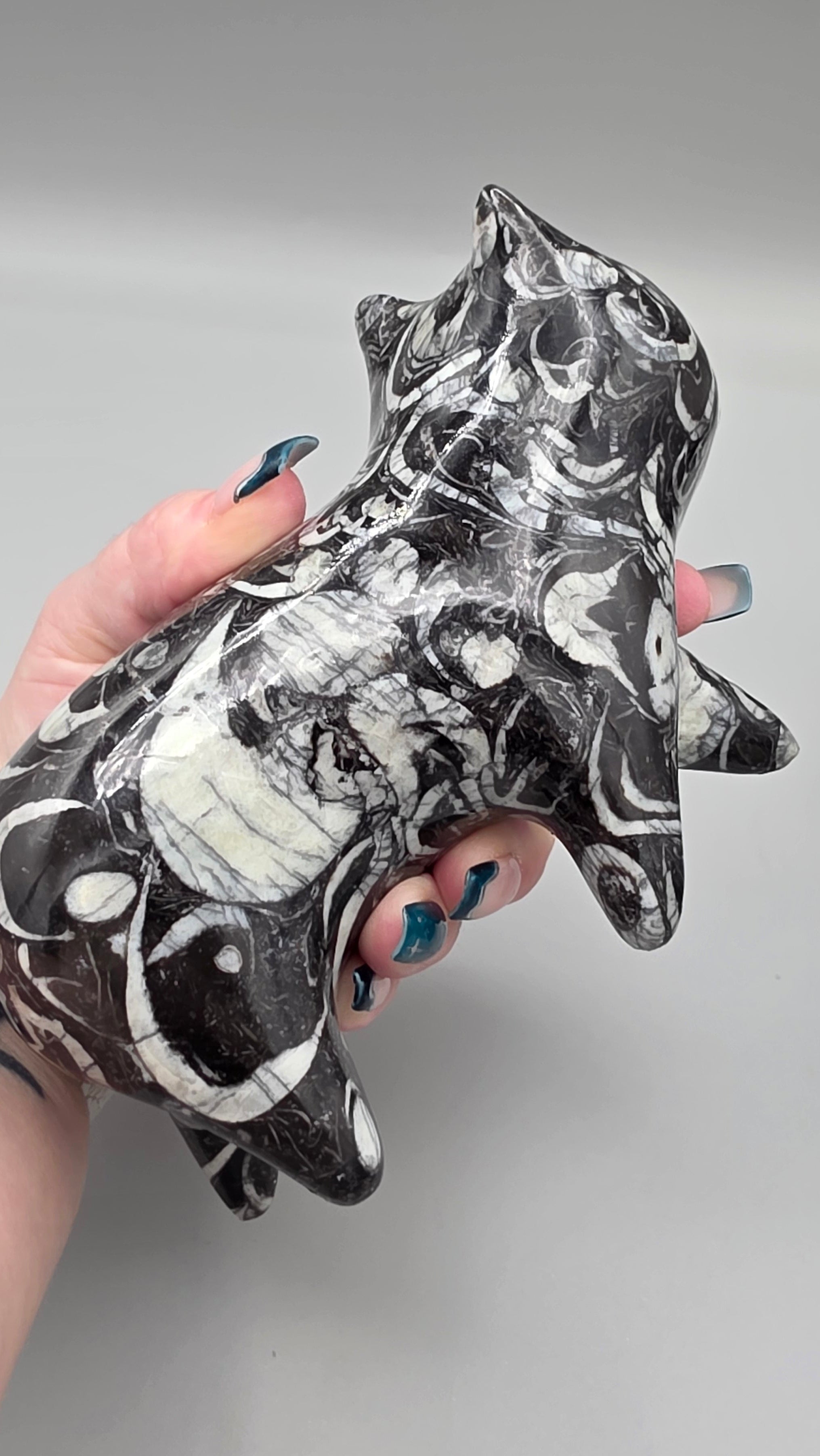 Orthoceras Fossil Cat Carving | Genuine Fossil Stone | Hand-Carved