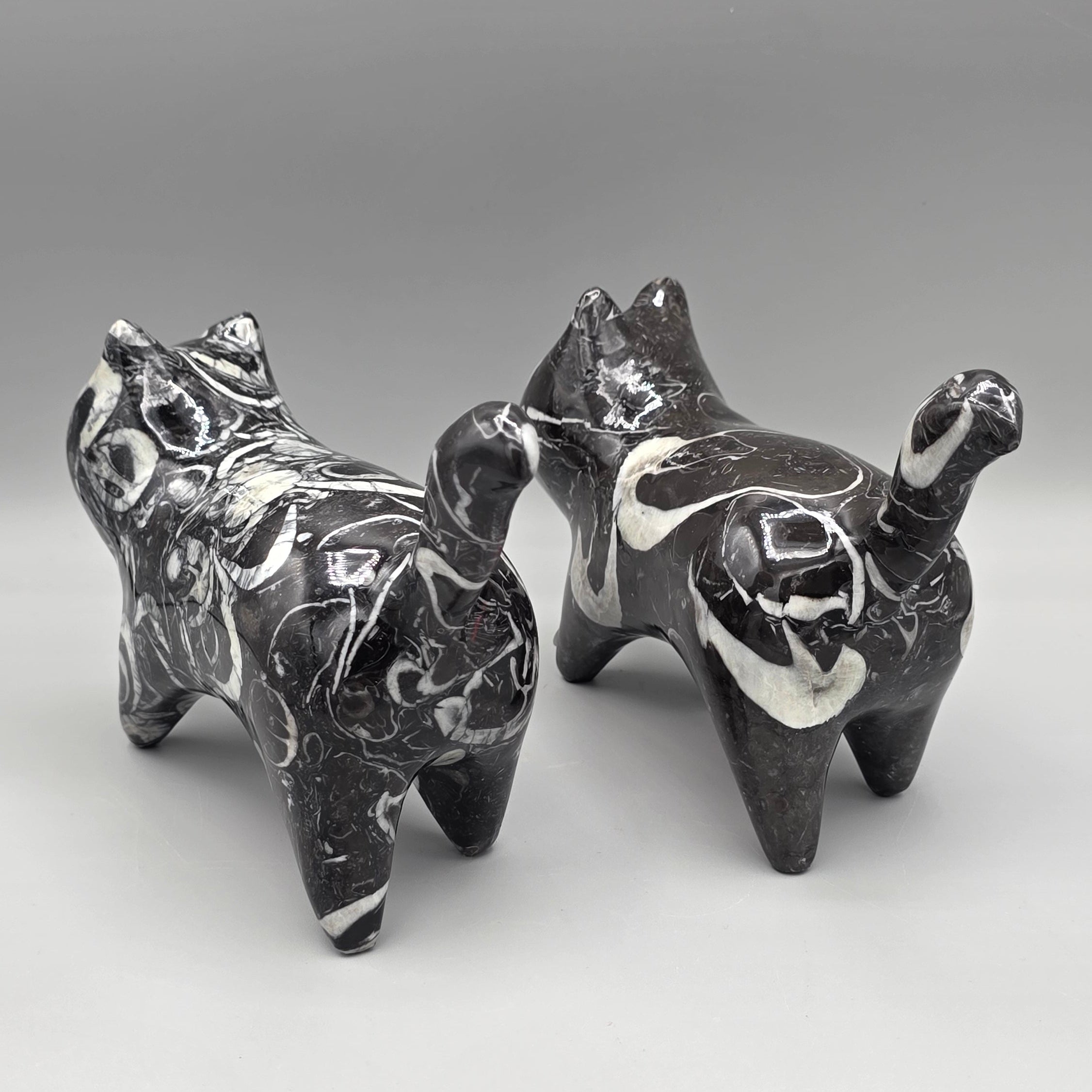 Orthoceras Fossil Cat Carving | Genuine Fossil Stone | Hand-Carved
