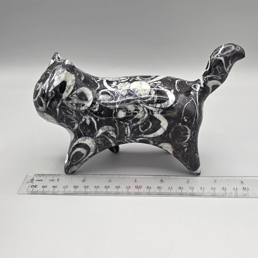 Orthoceras Fossil Cat Carving | Genuine Fossil Stone | Hand-Carved