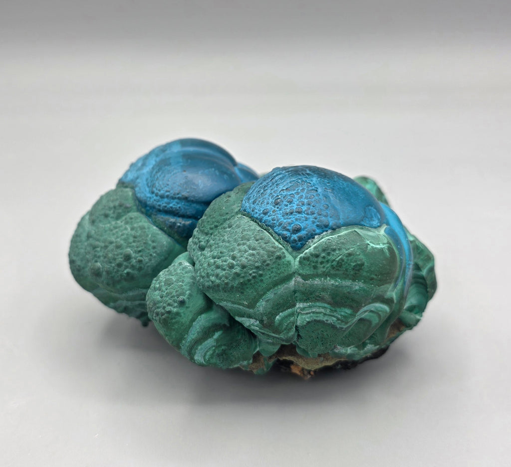Natural Rare Chrysocolla & Malachite Botryoidal Cluster