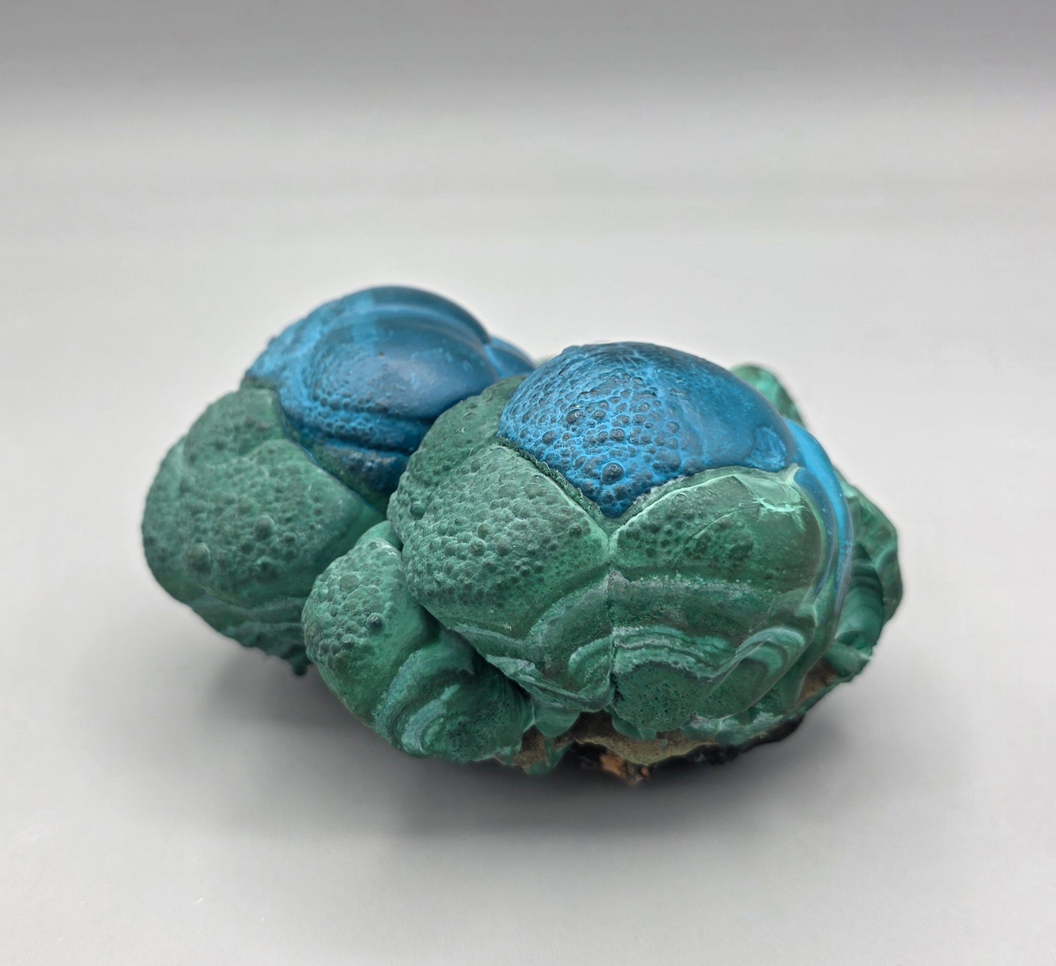 Natural Rare Chrysocolla & Malachite Botryoidal Cluster